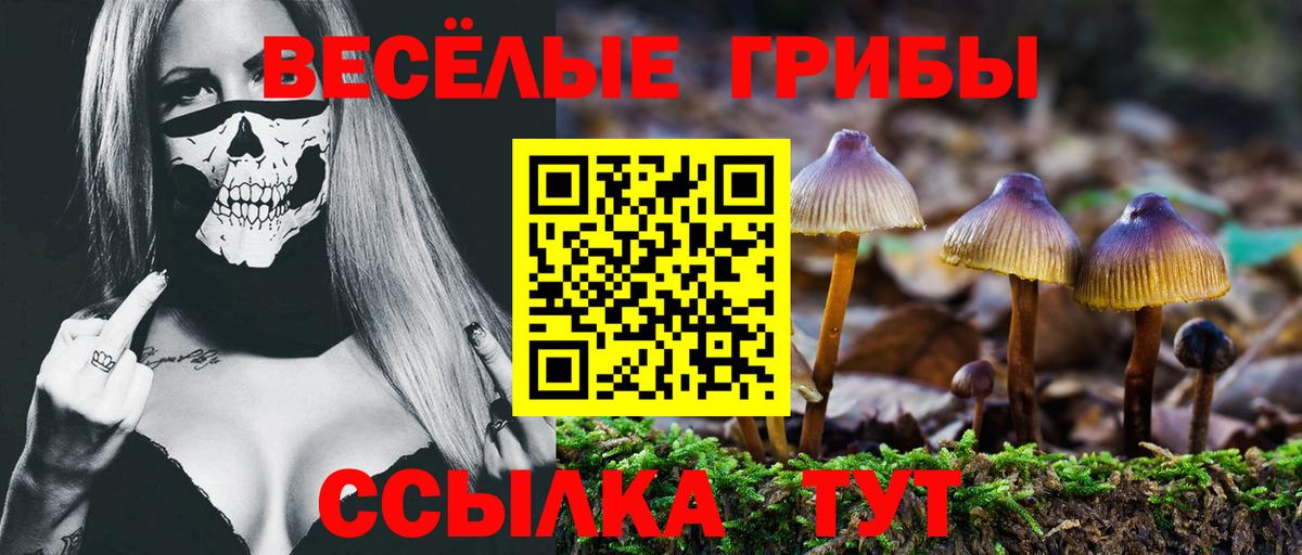 Псилоцибиновые грибы прущие грибы Урай